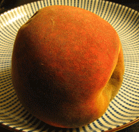 Mold growth on a peach; image courtesy Andrew Dunn